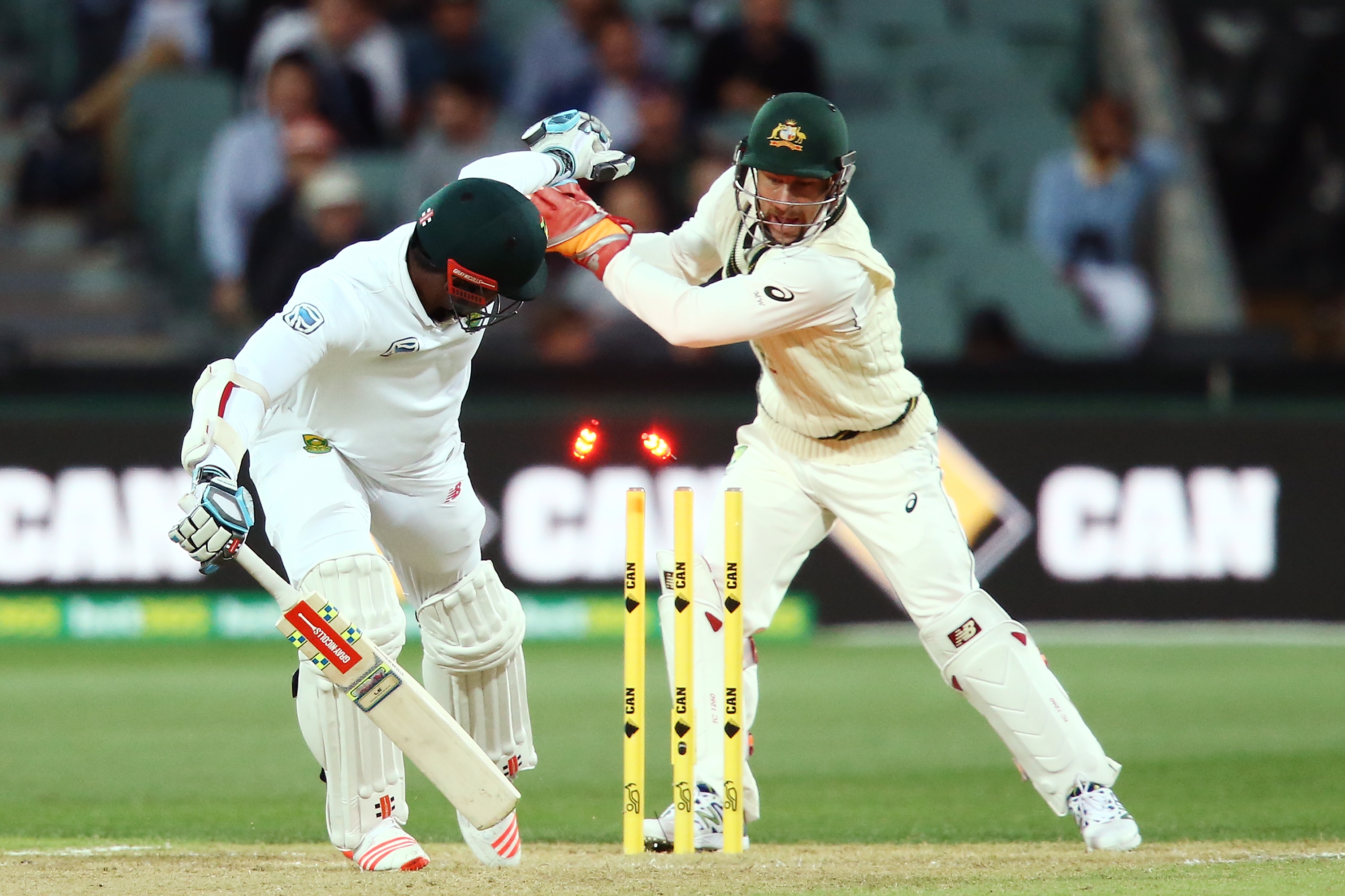 VIDEO : Mathew Wade does an MS Dhoni; claims three Queensland scalps with the ball