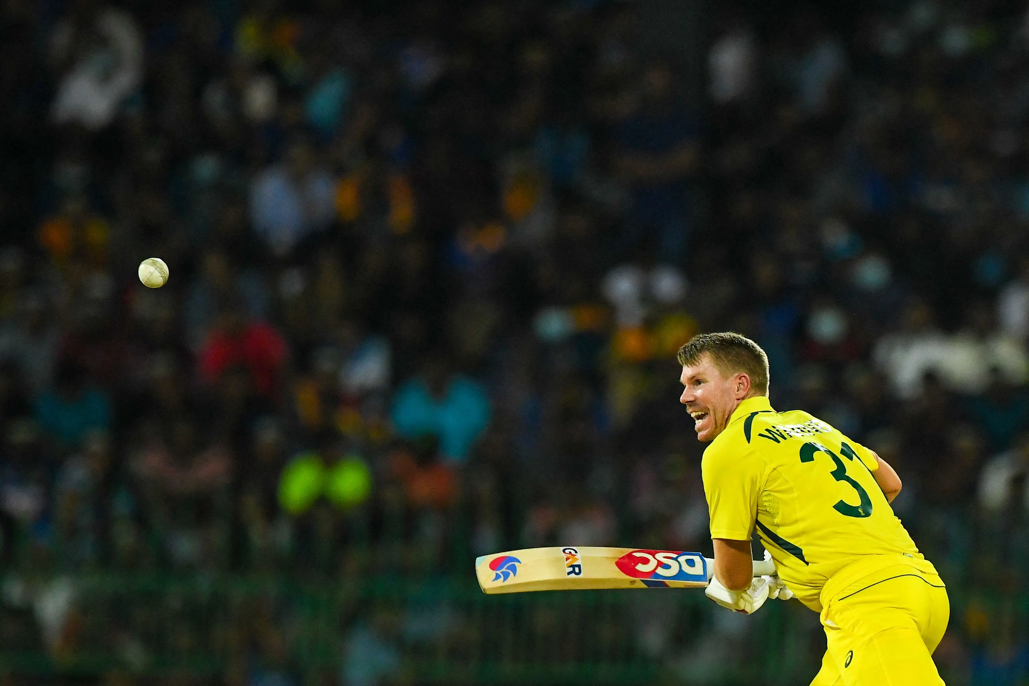 WATCH | David ‘unlucky’ Warner gets dismissed due to an unfortunate slip