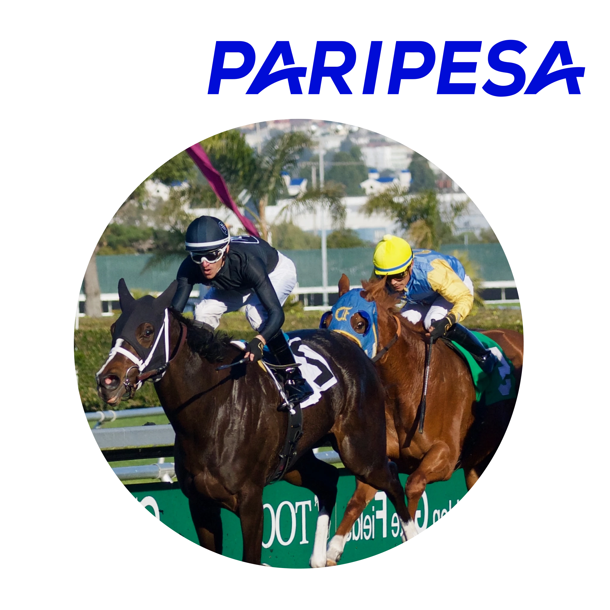 Betting on horse racing is best done on the legal gaming platform Paripesa.